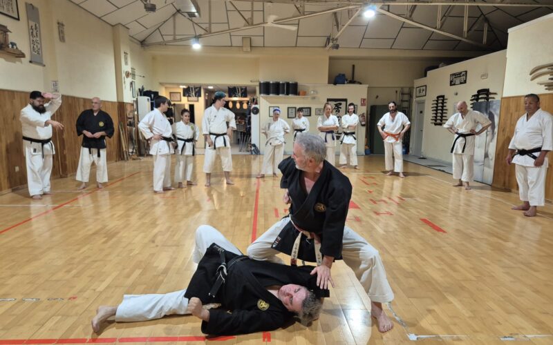 Karate-Do en Zanshin Madrid