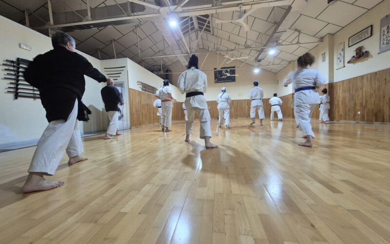 Karate-Do en Zanshin Madrid