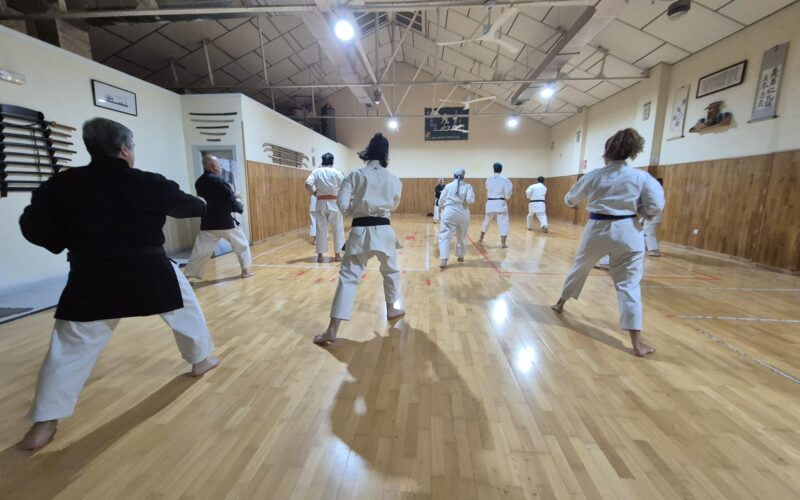 Karate-Do en Zanshin Madrid
