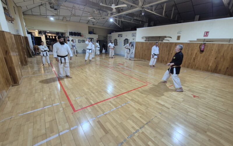Karate-Do en Zanshin Madrid