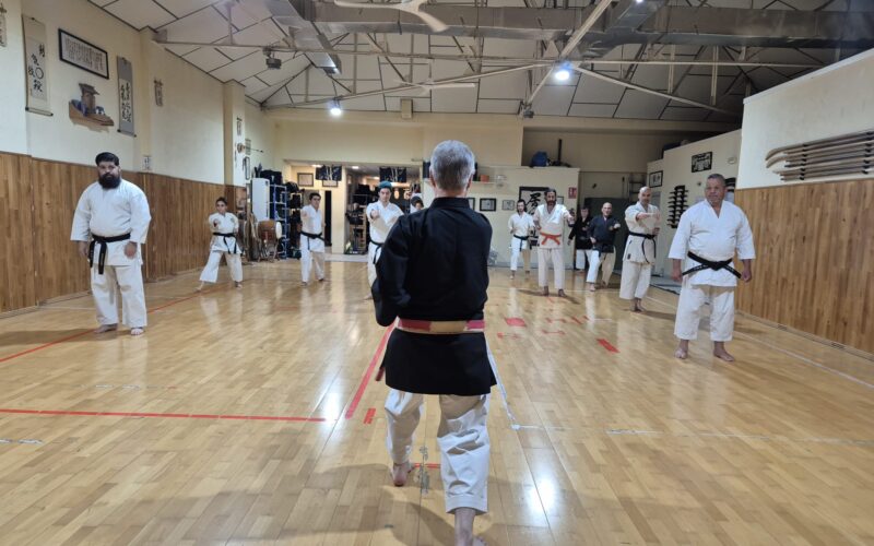 Karate-Do en Zanshin Madrid