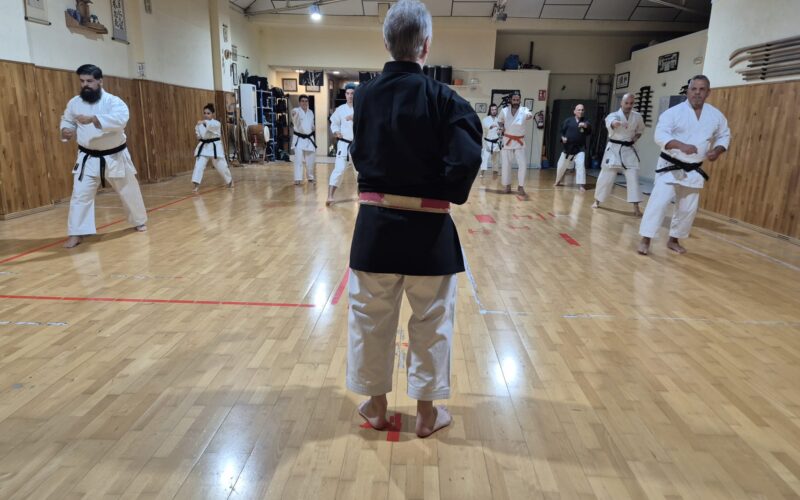 Karate-Do en Zanshin Madrid